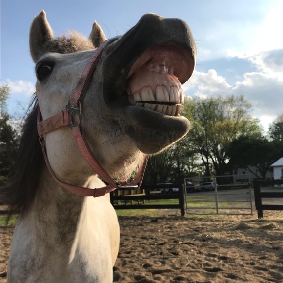 Meet your Posh ambassador Amanda - Picture 3 of 8